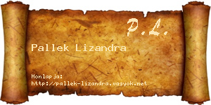 Pallek Lizandra névjegykártya